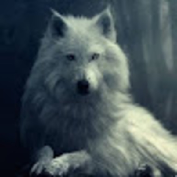 Meet your Posher, Kaitlyn - Picture 1 of 1